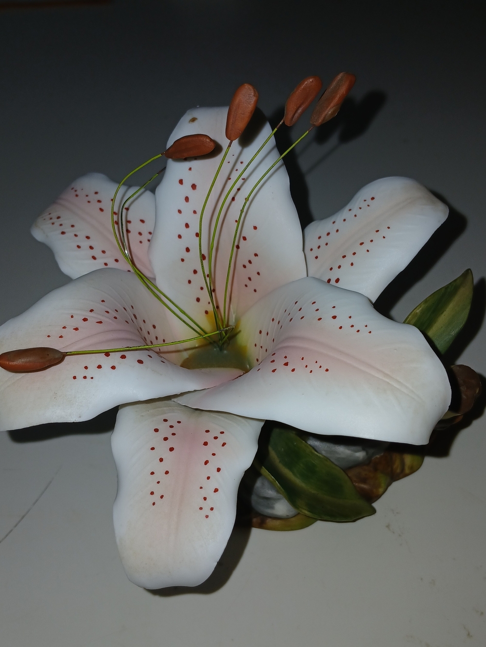 Porcelian Pink Lily